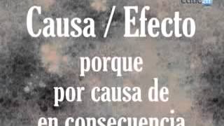 Conectores de causa efecto [upl. by Ialda]