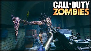 Can I Beat the SCARIEST CoD Zombies Map EVER made [upl. by Eramat83]