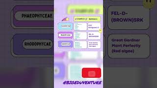 Rhodophycae examples mnemonics neetpreparation biology [upl. by Hairas]