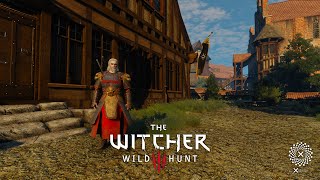 The Witcher 3 Wild Hunt Gameplay  Act I  Part 61 [upl. by Iderf940]