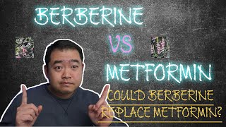 Berberine vs Metformin  Could Berberine Replace Metformin Which is better to lower blood sugar [upl. by Shulman423]