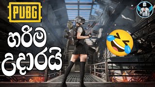 උදාරම වලිය pubg mobile  pubg mobile sinhala game play 😂 [upl. by Heater]