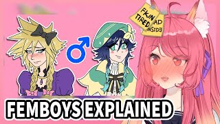 Femboys Explained  Kitsu reacts to Professor Lando [upl. by Kaylee370]