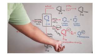 Reactions of PyridineNOxide [upl. by Linden744]