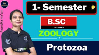 Protozoa  Bsc Zoology 1st Semester  Avantika Maam [upl. by Oinotla676]