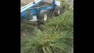 Proprietary Vetiver Root Harvester [upl. by Lahcsap]