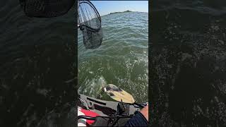 Poquoson Virginia PB Trout fishing [upl. by Sherye]