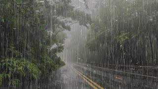 Lluvia Relajante Para Dormir y Relajarse en 3 Minutos  Sonido de Lluvia en el Hermoso Bosque  ASMR [upl. by Goulette]