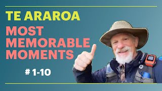 Te Araroa Most Memorable Moments 110 [upl. by Prosper]