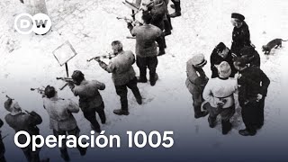 Cómo los nazis borraron sus crímenes  DW Documental [upl. by Ettevi]