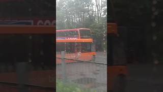 Arrival at Honley on a Class 144 Pacer trainride trains buses [upl. by Ahrendt]