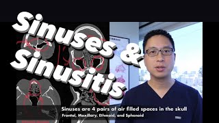 Sinuses Sinusitis Sinus Surgery Overview  what are sinuses what do they do how do we treat them [upl. by Suiratnauq]