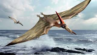 Sound Effects  Large Pterosaurs [upl. by Raquela]