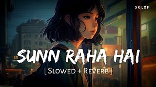 Sunn Raha Hai Na Tu Female Slowed  Reverb  Shreya Ghoshal  Aashiqui 2  SR Lofi [upl. by Culosio]