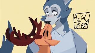 ⭐ Beastars ⭐ Legosi x Louis [upl. by Anirad]