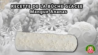 DIY  Recette de bûche de noël avec insert fruits rouges [upl. by Drofiar]