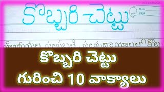 10 lines on coconut tree in teluguessay on coconut tree in telugukobbari chettu gurinchi 10valyalu [upl. by Gnouv]