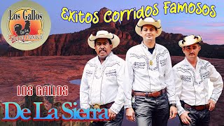 Los Gallos De La Sierra  Exitos Corridos Famosos [upl. by Kcirred114]