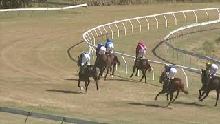 Yeppoon 20240803 Race 1 [upl. by Hajile220]