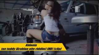 Videomix dancehall JA aoutaugust 2012 by Up2ditimeVJ HDmp4 [upl. by Naerol]