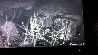 real fairies and orbs caught on CCTV [upl. by Findlay]