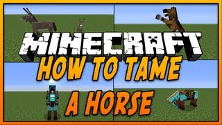 ✔ How To Tame and Ride a Horse in Minecraft [upl. by Nnyluqcaj]