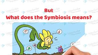 Symbiotic Association between the roots of Leguminous plants and Rhizobium bacteria [upl. by Triley]