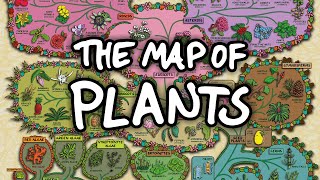 The Surprising Map of Plants [upl. by Georgina]