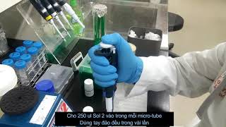 Miniprep  Tách plasmid từ vi khuẩn Ecoli [upl. by Nelak]