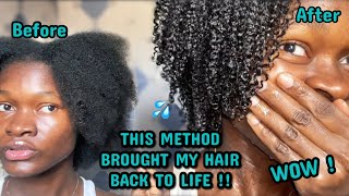 THIS METHOD BROUGHT MY HAIR BACK TO LIFE  I tried the MAXIMUM HYDRATION METHOD and I’m speechless [upl. by Gut909]