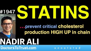 NADIR ALI s2  STATINS…prevent critical cholesterol production HIGH UP in chain [upl. by Elliven924]