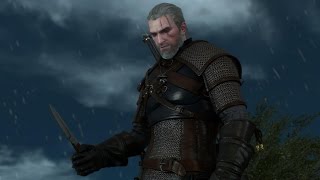 The Witcher 3 Contract Muire Dyaeblen Contrato Muire Dyaeblen HD Español [upl. by Rehctaht744]