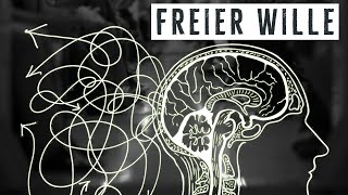 Freier Wille amp Determinismus – Warum ich das Problem nicht verstehe [upl. by Yanel]