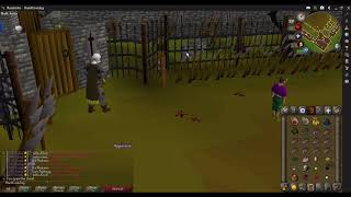 OSRS  HCIM  Fight Arena Quest Guide   Safe Spot [upl. by Domenico]