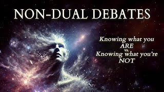 NonDual Debates Knowing what you ARE vs Knowing what youre NOT [upl. by Barthol]