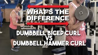 Hammer Curl vs Bicep Curl  Whats The Difference [upl. by Radnaxela]