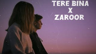 Tere Bina x Zaroor  Slowed amp reverb [upl. by Lehte]