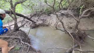 Barramundi fishing in croc infested Darwin creeks [upl. by Ayres]