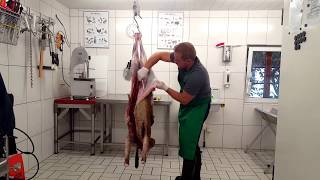 Hirschkalb aus der Decke schlagen und grob zerlegt Red Deer Skinning [upl. by Hackett197]