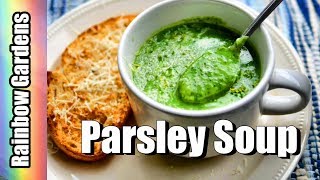 Got Parsley Easy Peasy 5 Main Ingredients Delicious Parsley Soup 4K [upl. by Trevorr]