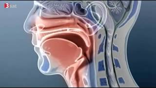 Unsere Stimme Ein Phänomen und seine Erforschung Doku über die Stimme Teil 1 [upl. by Tucky]