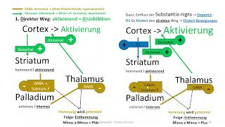 Nervensystem 9 ZNS Teil IV  Limbisches System Basalganglien M Parkinson Chorea Huntington [upl. by Marthe]