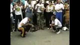 Grupo Senzala  Capoeira 100 Espetacular [upl. by Zil]