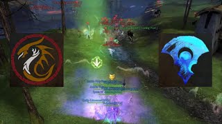 NPCs  Small Scale 10vX Outnumbered WvW Fights Celestial Support Firebrand PoV  Guild Wars 2 [upl. by Siahc]