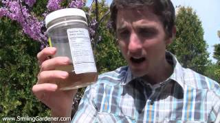 My 2 Favorite Homemade Fertilizers That Anyone Can Make [upl. by Brecher]