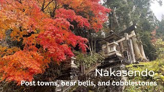 Walking the Nakasendo trail between Kyoto and Tokyo VLOG [upl. by Hannazus]