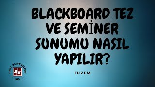 Doktora Yüksek Lisans Tez ve Seminer Sunumu [upl. by Liahkim866]