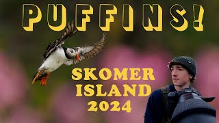 I Visited Puffin Island  Skomer Trip 2024 [upl. by Mroz]