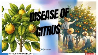 DISEASES OF CITRUS [upl. by Hodges]