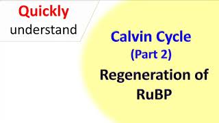 Calvin cycle part 2 regeneration of RuBP [upl. by Weber]